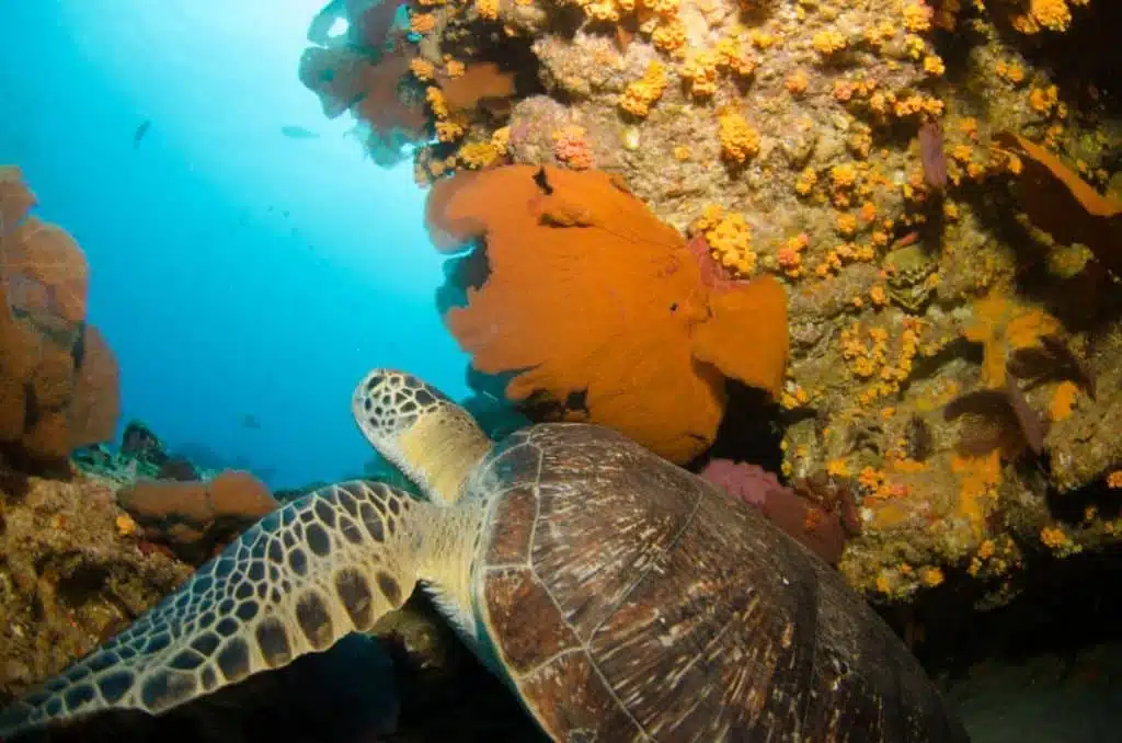 How to get from Cancun Airport to Cozumel4