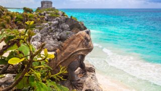 how-to-get-from-cozumel-to-tulum-mexico3