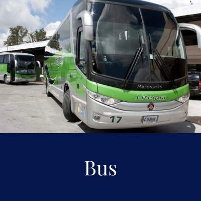 Mexico-Transport-Service-Bus-1